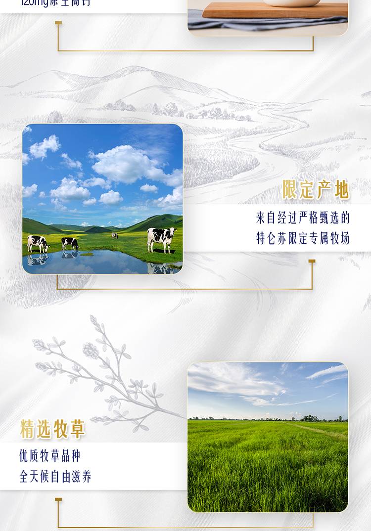 9bfc193119d8c6715d80b6af32e139d2.jpg