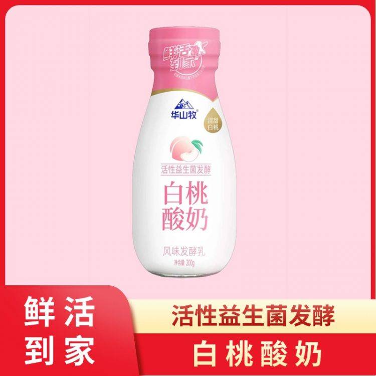 白桃酸奶